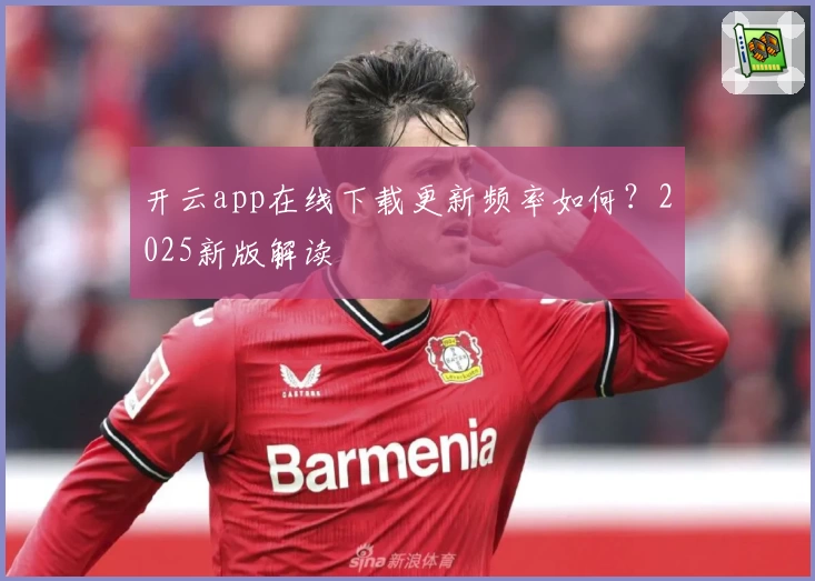 开云app在线下载更新频率如何？2025新版解读