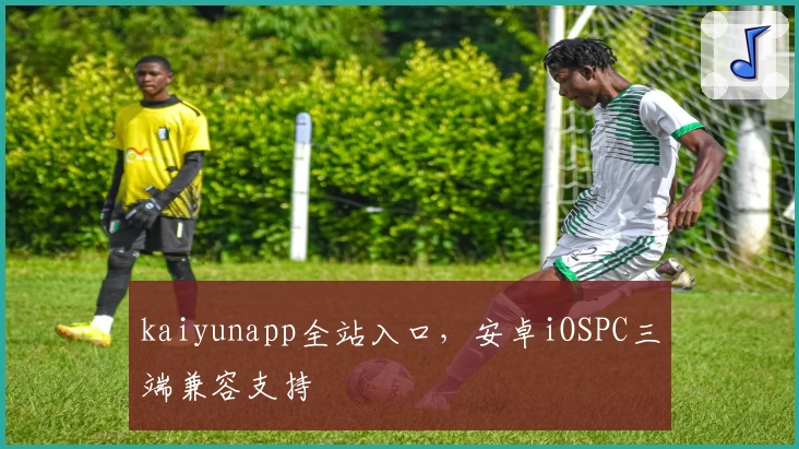 kaiyunapp全站入口，安卓iOSPC三端兼容支持