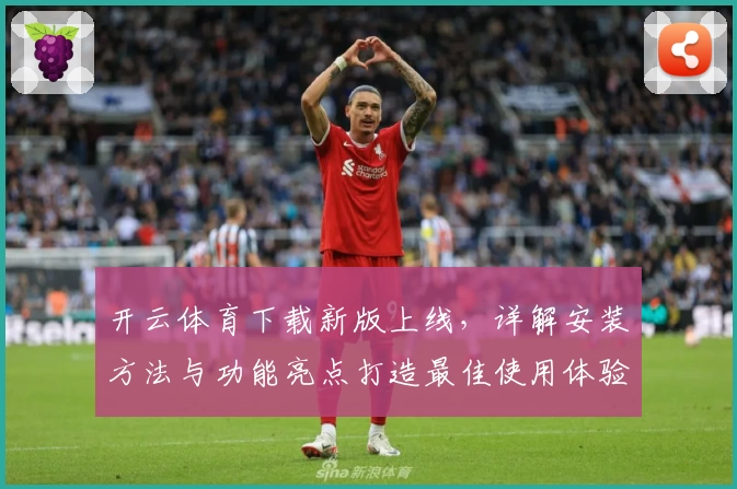 开云体育下载新版上线，详解安装方法与功能亮点打造最佳使用体验