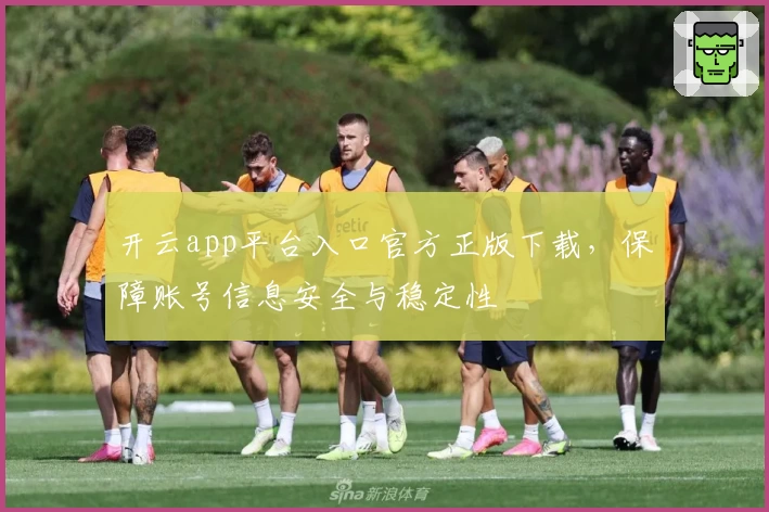 开云app平台入口官方正版下载,保障账号信息安全与稳定性
