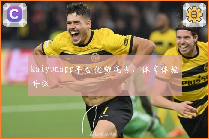 kaiyunapp平台优势亮点，体育体验升级