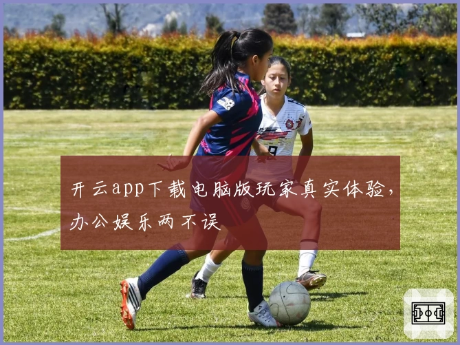 开云app下载电脑版玩家真实体验，办公娱乐两不误